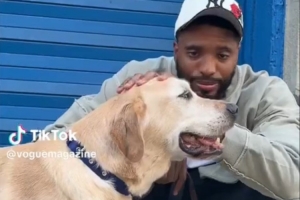 纽约市的王子！大桥牵自己的宠物犬逛街 小狗桑尼表情愉悦